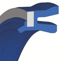 Pneumatique cylinder seals