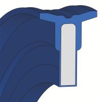 Pneumatique piston seals