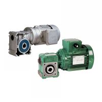 Geared motors with worm gear and solid shaft