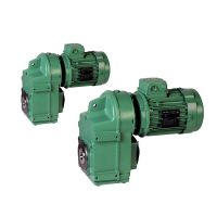 Geared motors with parallel gears