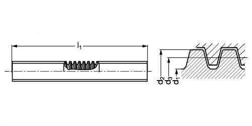 Vis trapézoïdale roulée en acier inoxydable - Plan