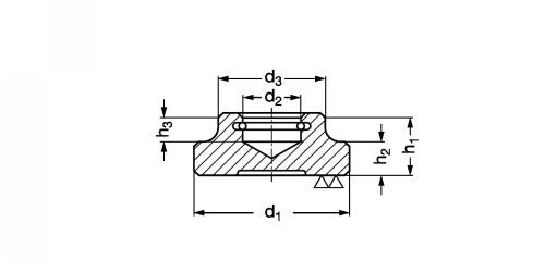 Pieds avec circlip, DIN 6311 et norme d'usine - Plan