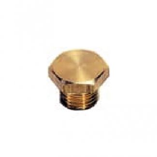 Bouchon laiton à 6 pans mâle BSP cylindrique/métrique - LEGRIS 0200
