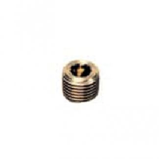 Bouchon laiton à 6 pans creux mâle NPT - LEGRIS 02A5