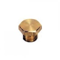 Bouchon laiton à 6 pans mâle BSP cylindrique/métrique - LEGRIS 0200