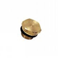 Bouchon laiton à 6 pans mâle BSP cylindrique/métrique - LEGRIS 0220