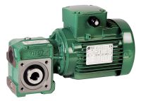 Motoréducteur roue et vis sans fin Multibloc 3101