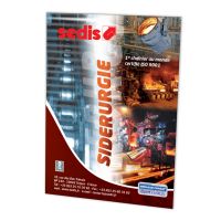 LA CHAÎNE DANS LA SIDÉRURGIE