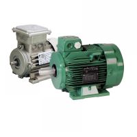 MOTEURS ASYNCHRONES TRIPHASÉS LS ET LSES GÉNÉRALITÉS