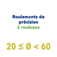 Roulements de pr&eacute;cision &agrave; rouleaux 20 &agrave; 60