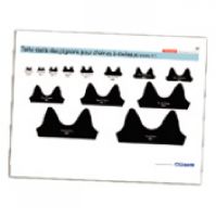 TAILLE RÉELLE DES PIGNONS POUR CHAÎNES À ROULEAUX