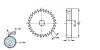 Roue à rochet - Plan