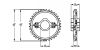 Pignon série 1000 standard - plan