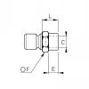 Embout femelle, BSP cylindrique - LEGRIS 0196 - Plan