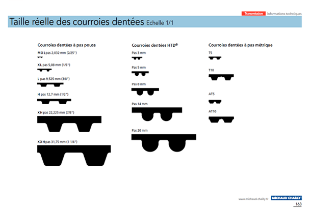 Taille réelle de courroies dentées Taille réelle de courroies dentées
